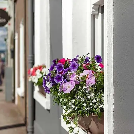 Macs Townhouse Dungarvan 4* Γουότερφορντ